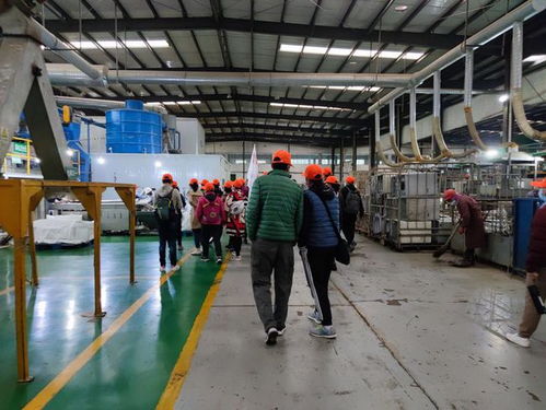 走进自然，守护家园 昆明环保工厂参观与水土保护公益活动纪实