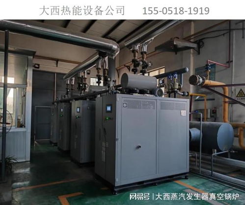 低氮环保燃气蒸汽发生器 绿色热能工程的新选择