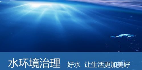 固废法 下的大机遇,龙头股2天2板达43 涨幅,将开启连板模式